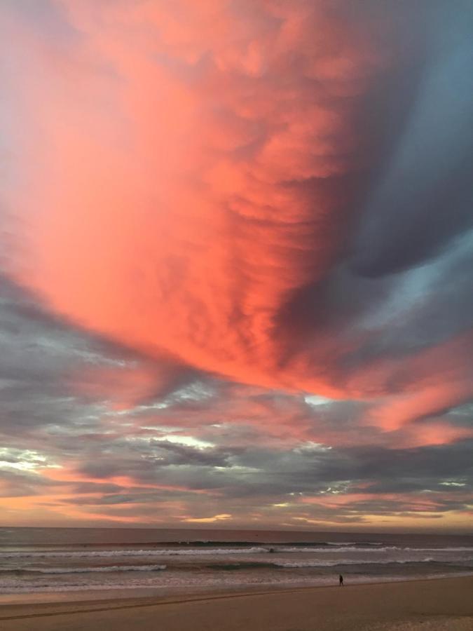 Beachside/ Paradise Best Views Gold Coast Extérieur photo